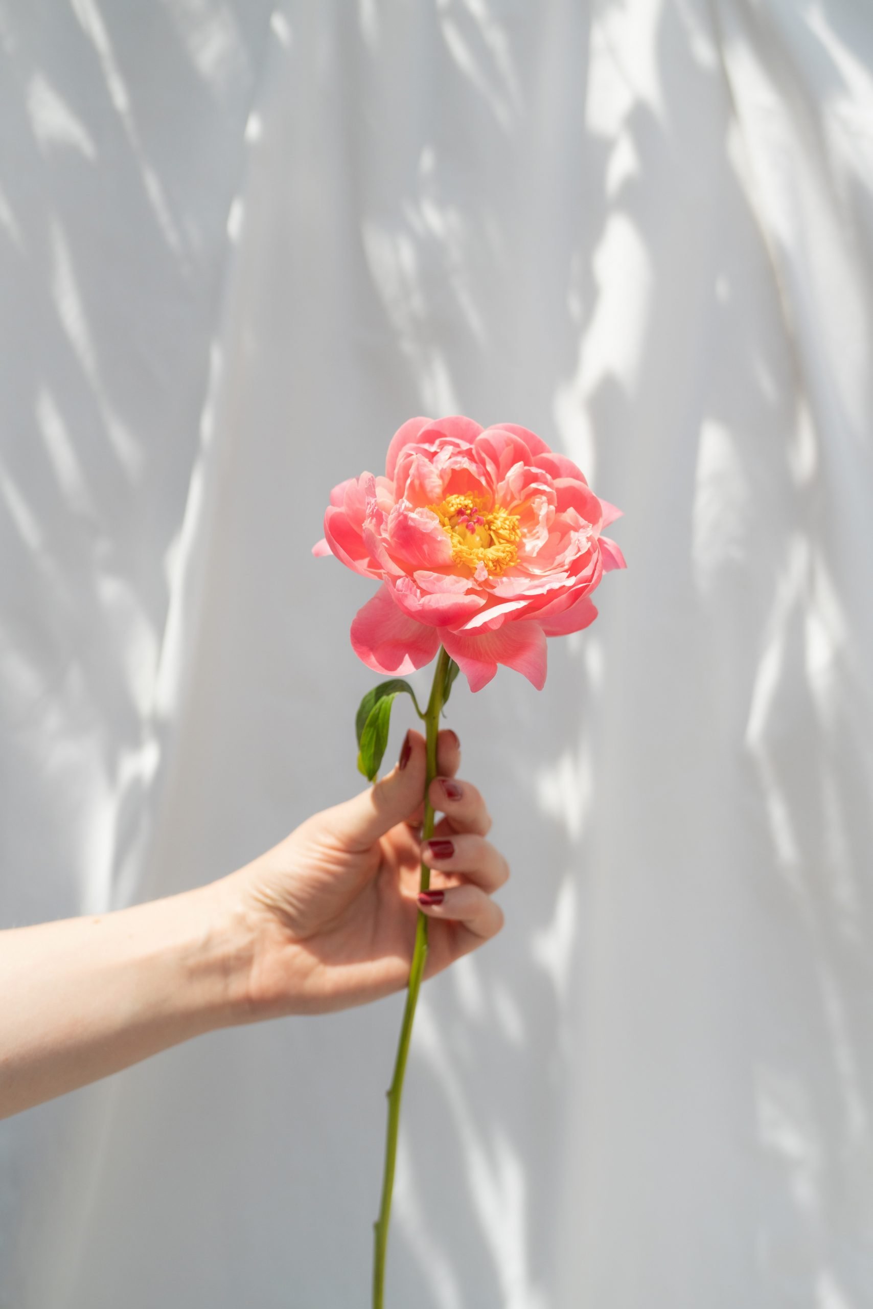 activities for mindfulness